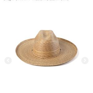 Brand new Lack of color Western Deaert Palma